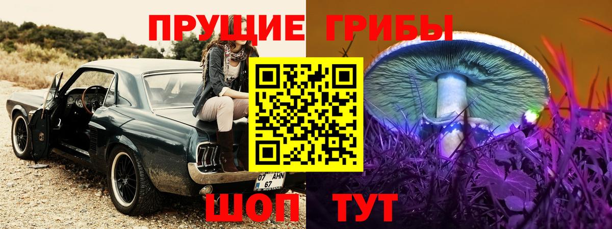 цены наркотик  Вход с VPN  Карачаевск  Псилоцибиновые грибы Cubensis  Галлюциногенные грибы Psilocybine cubensis 