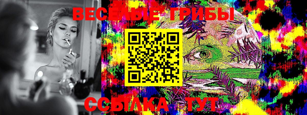 Галлюциногенные грибы Cubensis Карачаевск