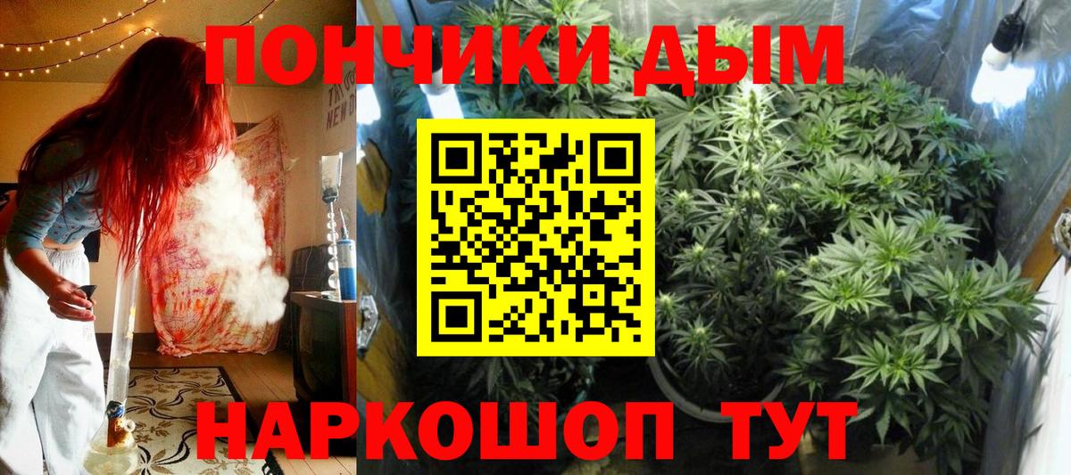 Карачаевск  Каннабис Ganja  Вход с VPN  МАРИХУАНА планчик  Марихуана Bruce Banner 